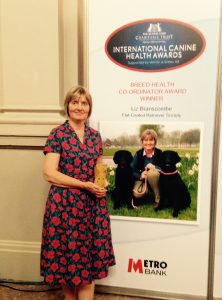 BHC Award